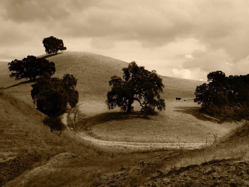 sudoku ios app screenshot 5